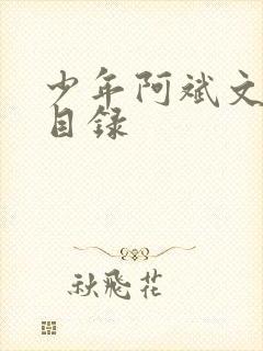 少年阿斌文说读目录