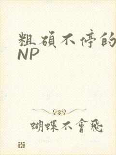 粗硕不停的进出NP
