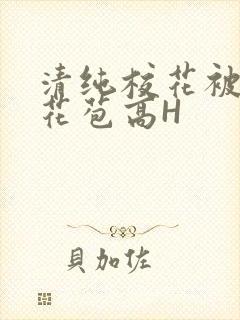 清纯校花被迫开花苞高H