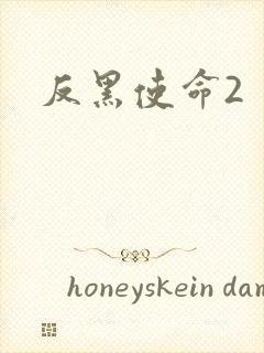 反黑使命2