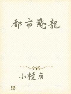 都市飞龙