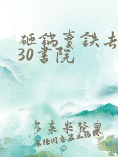 砸锅卖铁去上学30书院