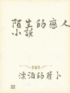 陌生的恋人原著小说