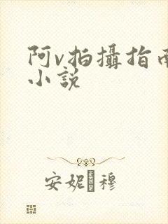 阿v拍摄指南说小说