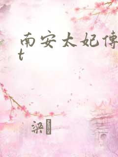 南安太妃传txt