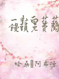 一对白花花的大馒头免费阅读