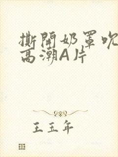 撕开奶罩吮奶头高潮A片