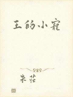 王的小宠