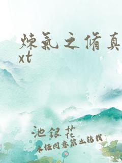 炼气之修真者txt