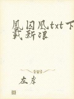 凤囚凰txt下载新浪