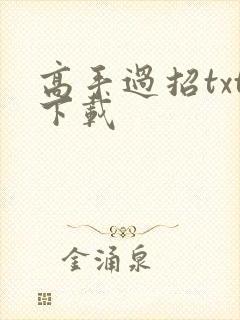 高手过招txt下载