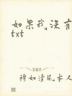 如果我没有爱过txt