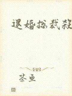 退婚总裁杀手妻