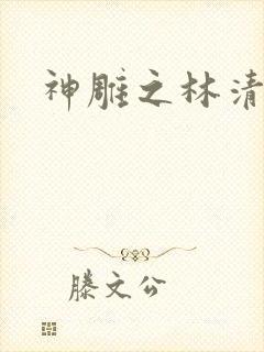 神雕之林清传
