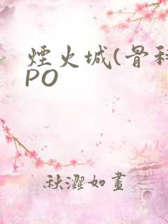 烟火城(骨科)PO