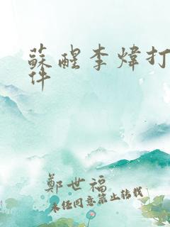 苏醒李炜打架事件