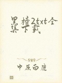 黑榜2txt全集下载
