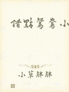 错点鸳鸯小说