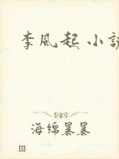 李风起 小说