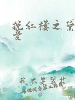 挽红楼之黛玉绝爱