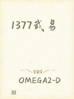 1377武易