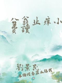 公翁止痒小说免费读
