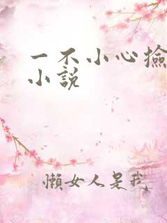 一不小心捡到爱小说