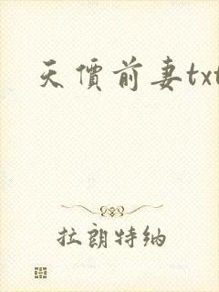 天价前妻txt