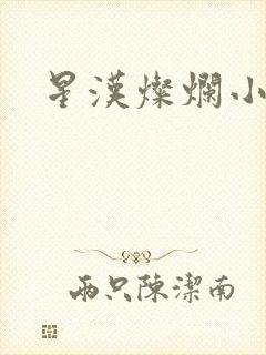 星汉灿烂小说