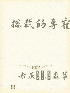 总裁的专宠床奴