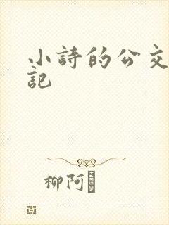 小诗的公交车日记