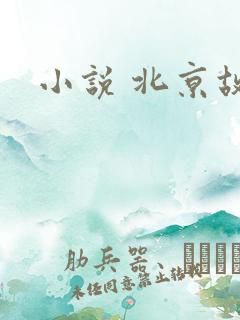 小说 北京故事