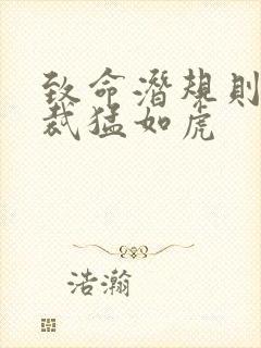 致命潜规则 总裁猛如虎