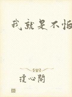 我就是不怕小说