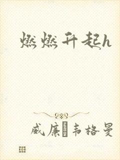 燃燃升起h
