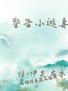 警告小逃妻