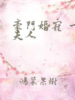 豪门婚宠 一品夫人