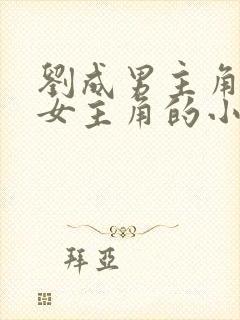 刘成男主角刘雪女主角的小说