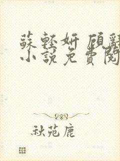 苏轻妍 顾辞笙小说免费阅读