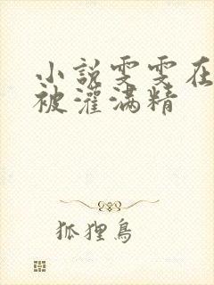 小说雯雯在工地被灌满精