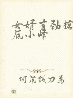 女婿有劲枪枪到底小峰