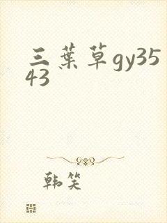 三叶草gy3543