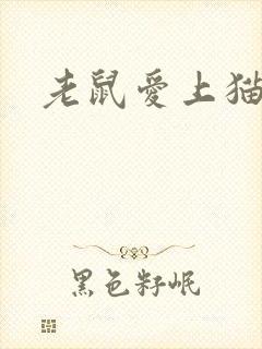 老鼠爱上猫下载