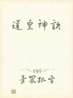 道皇神诀