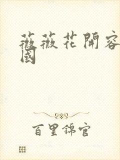 薇薇花开容颜倾国