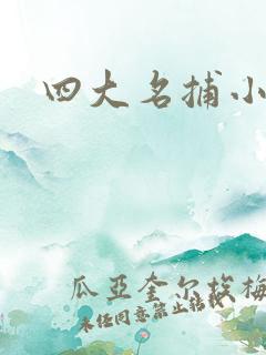 四大名捕小说