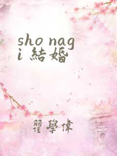 sho nagi 结婚