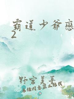 霸道少爷恋上我2