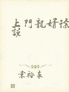 上门龙婿徐阳小说