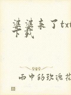 婆婆来了txt下载